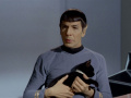 Spock weist Kirk auf die prekäre Lage auf der Erde hin.jpg